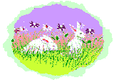 Зайцы, кролики