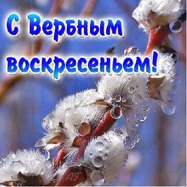 http://kartinki-vernisazh.ru/_ph/205/2/63276667.gif?1491739168