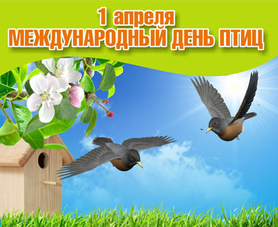 1 апреля День птиц