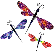 Бабочки, мотыльки, стрекозы