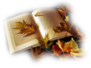 Книга с листьями картинка