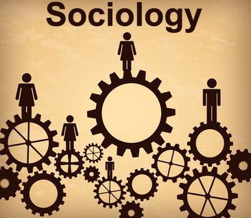 14 ноября День социолога