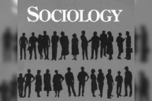 14 ноября День социолога