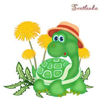 23 мая Всемирный день черепахи
