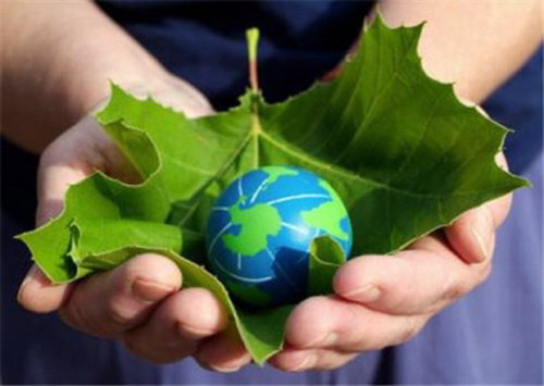 5 июня Всемирный день эколога