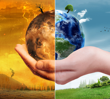 5 июня Всемирный день эколога
