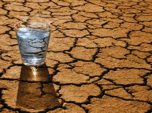 17 июня Всемирный день борьбы с засухой