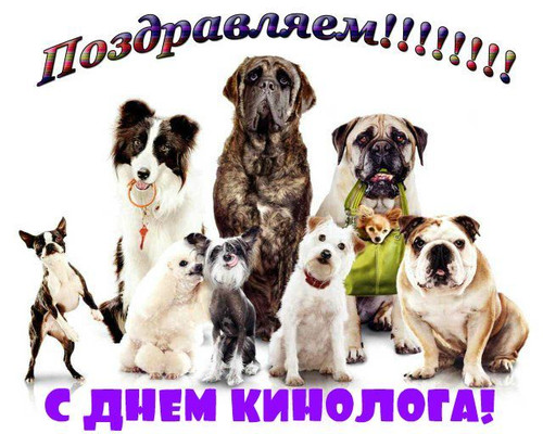 21 июня День кинолога МВД России