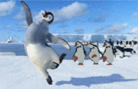 Танцульки пингвинов картинка