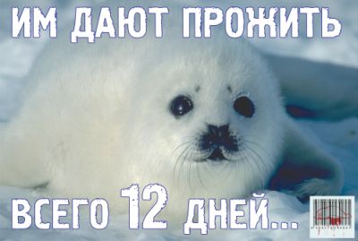 15 марта Международный день защиты бельков