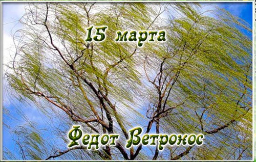 15 марта Федот Ветронос