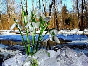 23 марта Василиса — вешней воды указательница