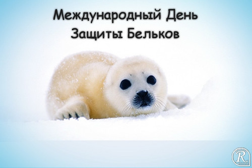15 марта Международный день защиты бельков