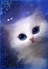Котик белый на голубом фоне