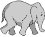 Слоны и слоники