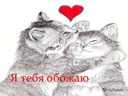 Я тебя обожаю! Котята целуются!