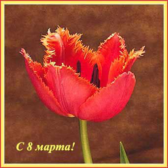 8 Марта Международный женский день