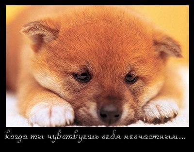 Прости, не обижайся!