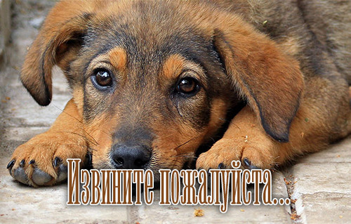 Прости, не обижайся!