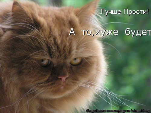 Прости, не обижайся!