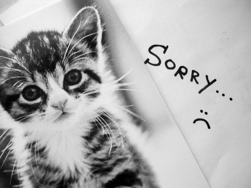 Прости, не обижайся!