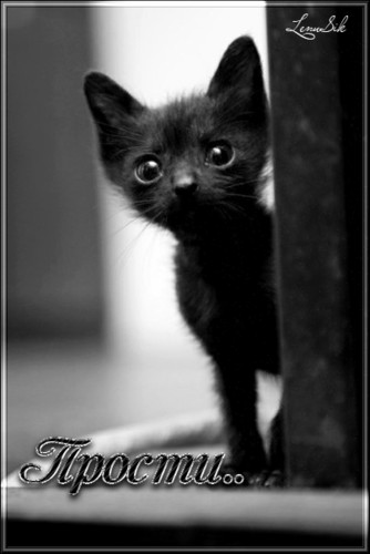 Прости, не обижайся!