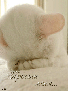 Прости, не обижайся!