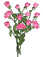 Розы
