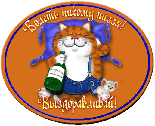 Выздоравливай!