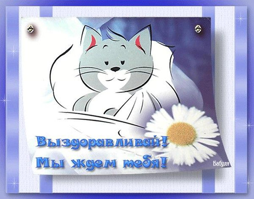 Выздоравливай!