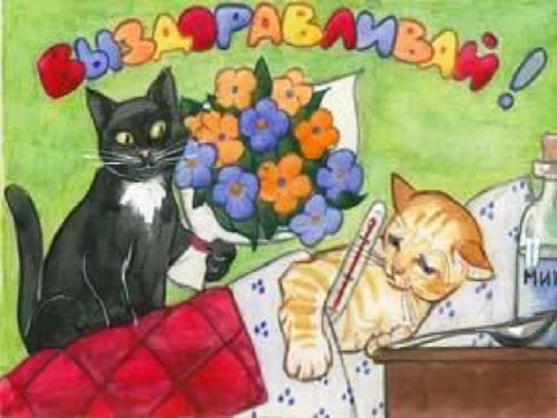 Выздоравливай!