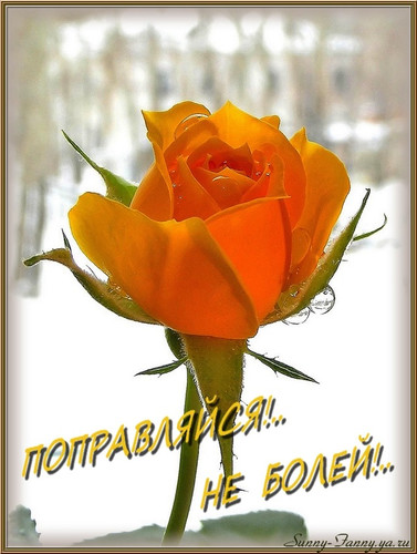 Выздоравливай!