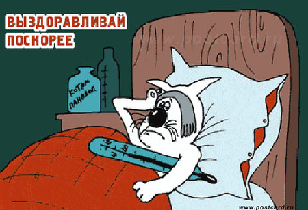 Выздоравливай!