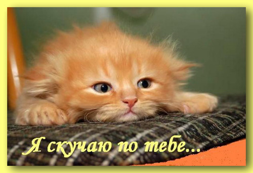 Скучаю, тоскую!