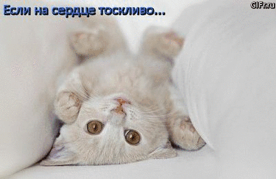 Скучаю, тоскую!