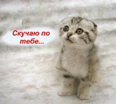 Скучаю, тоскую!