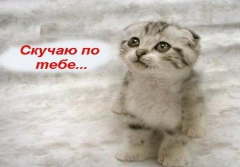 Скучаю, тоскую!