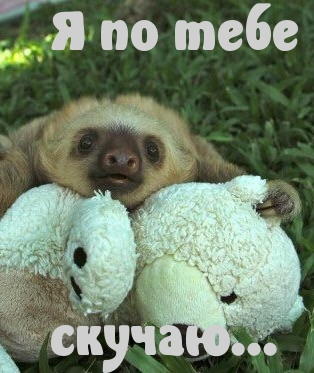 Скучаю, тоскую!