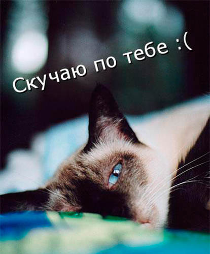 Скучаю, тоскую!