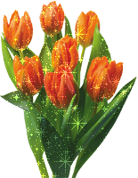 Яркие тюльпаны