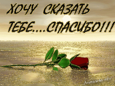 Спасибо. Благодарю