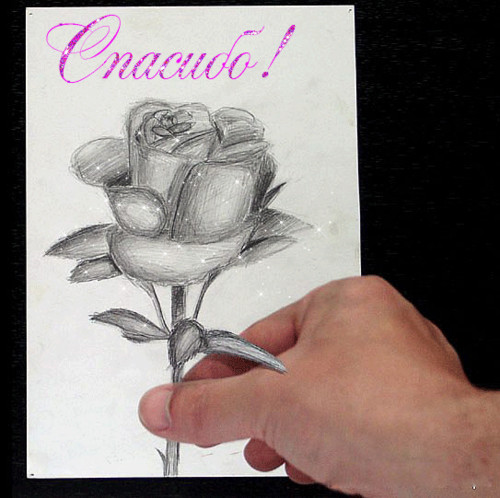 Спасибо. Благодарю