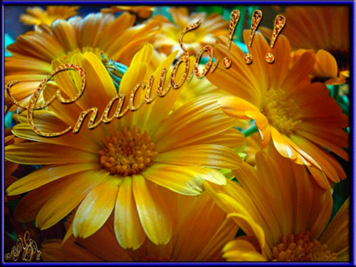 Спасибо. Благодарю