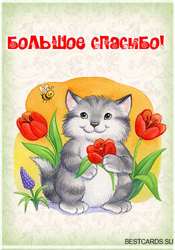 Спасибо. Благодарю