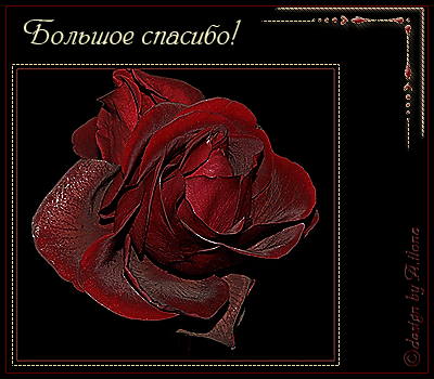 Спасибо. Благодарю