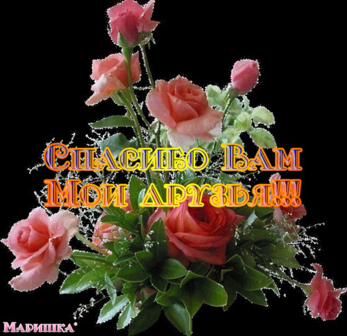 Спасибо. Благодарю