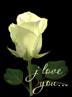 Белая роза любимой