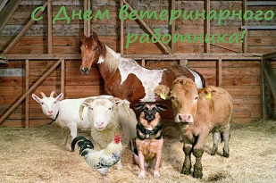 27 апреля Международный день ветеринара