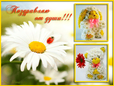 Поздравляю