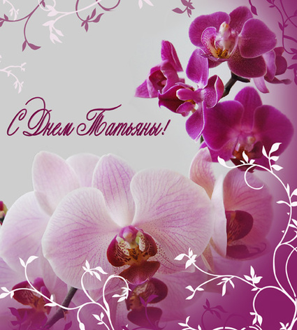 С днем Татьяны!Татьянин день. Розовые орхидеи